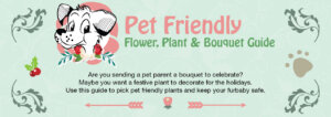 pet safe flowers and plants