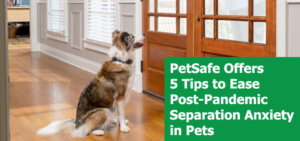 PetSafe Offers 5 Tips to Ease Post-Pandemic Separation Anxiety in Pets