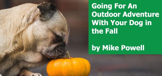 Mike Powell - Going For An Outdoor Adventure With Your Dog in the Fall