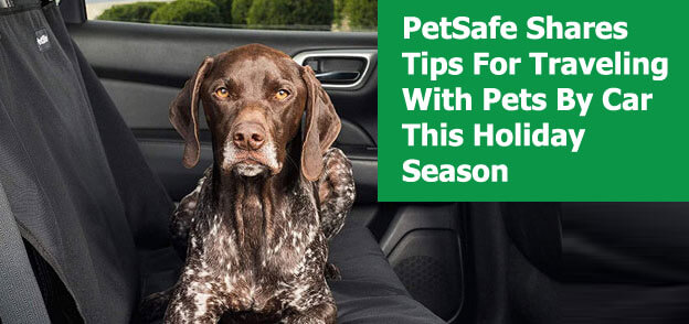 PetSafe Shares Tips For Traveling With Pets By Car This Holiday Season