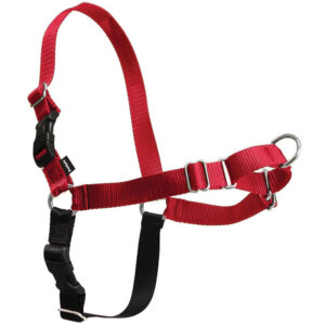 PetSafe, Julius K-9, and Alpine Outfitters Harnesses