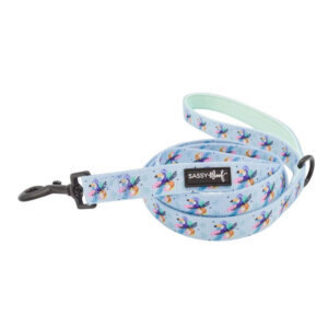 Sassy Woof Leashes and Harnesses