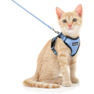 Cat Leash and Harness Set