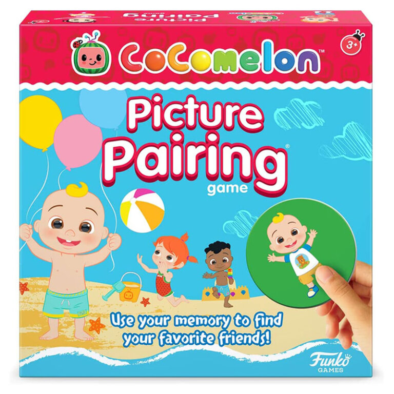 Picture Pairing Game TTPM