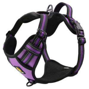 Smart Pro No Pull Dog Harness and Ultimate 6-in-1 Hands Free Dog Leash